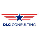 dlg-consulting.com
