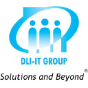 DLI-IT Systems Group
