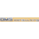 dms-consulting.com