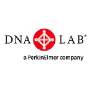 dna-laboratories.com