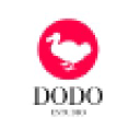dodoestudio.com