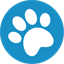 dog walk