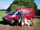 doggiedaycare-online.co.uk