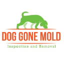 Dog Gone Mold