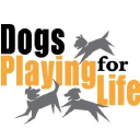 dogsplayingforlife.org