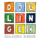 dollinger-realschule.de