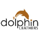 dolphinleathers.com