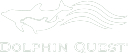 dolphinquest.com