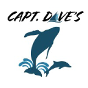 Dolphin Safari, Inc. logo