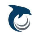 dolphintalentscout.com