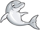 dolphinzswimschool.com