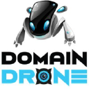 domaindrone.com