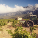 EARL DOMAINE DES ENFANTS