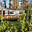 DOMAINE DE MARCILLY