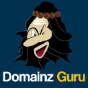domainzguru.com