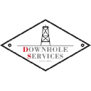 downhole-services.com