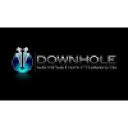 downholecompletionproducts.com