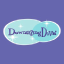 downsizingdiva.com