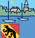 SWISS BEAR DOWNTOWN DEVELOPMENT CORPORATION logo