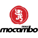 dragomocambo.com
