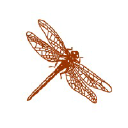 dragonfly-usa.com