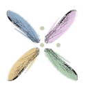 Dragonfly Blu Design