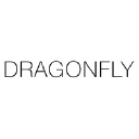 dragonflycollective.co