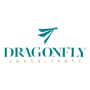 dragonflyconsultants.net