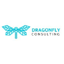 dragonflyconsulting.co