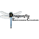 dragonflyenv.com