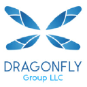 dragonflygroupllc.com