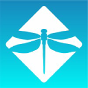 dragonflymaldives.com