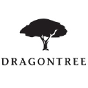 dragontreecapital.com