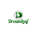 dreamleafllc.com
