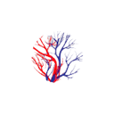 Company logo for drmahmoudnasser.com