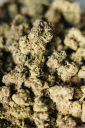 Dr. Smoke Logo