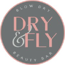 dryandfly.com