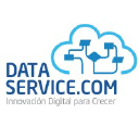 Data Service