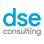 Dse Consulting logo