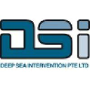 Deep Sea INtervention logo