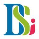 DSI Informatique
