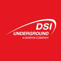 DSI Underground Group