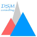 dsm-consulting.ch