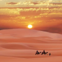 dubaidesertsafari.com
