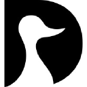 DP  Avatar