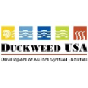 duckweedusa.com