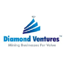 Diamond Ventures LLC