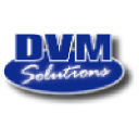 DVM Solutions