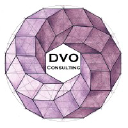 dvoconsult.com