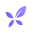 DXY logo